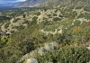 bellscanyon10
