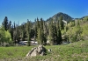 Angel Flat