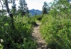 Great Western Trail AF Canyon