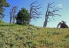 MCP Trail Pics