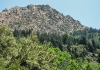 Mt Olympus Trail pics
