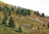 silvercreektr14