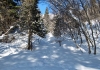 Deer Creek TH