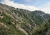 Grove Creek Canyon