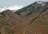 Phelps Canyon