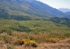 Sagebrush Flat