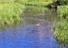 silverlakebcc08