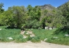 Dry Creek TH